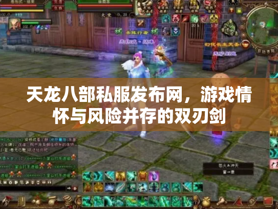 天龙八部私服发布网，游戏情怀与风险并存的双刃剑