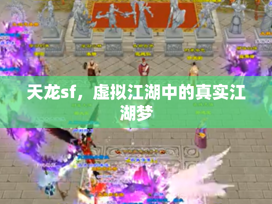 天龙sf，虚拟江湖中的真实江湖梦