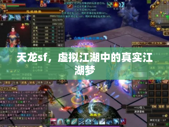 天龙sf，虚拟江湖中的真实江湖梦