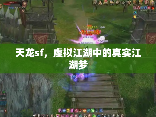 天龙sf，虚拟江湖中的真实江湖梦