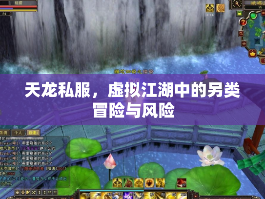 天龙私服，虚拟江湖中的另类冒险与风险