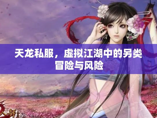 天龙私服，虚拟江湖中的另类冒险与风险
