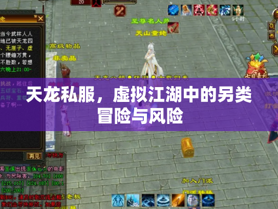 天龙私服，虚拟江湖中的另类冒险与风险