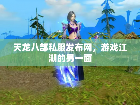 天龙八部私服发布网，游戏江湖的另一面