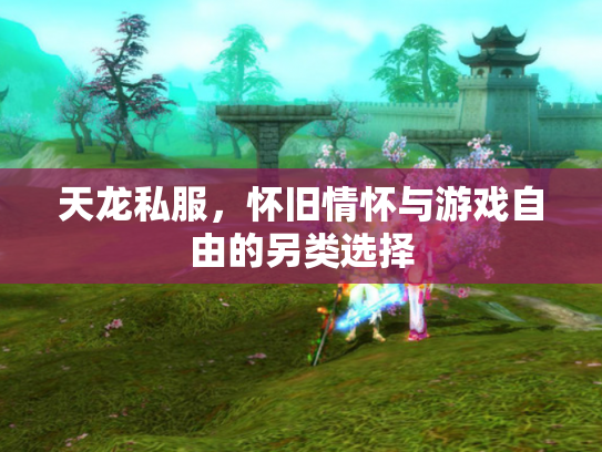 天龙私服，怀旧情怀与游戏自由的另类选择