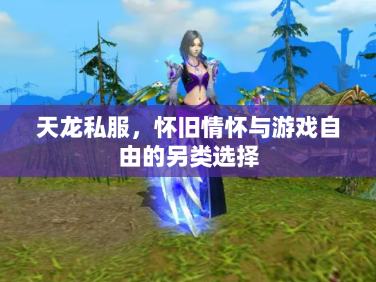 天龙私服，怀旧情怀与游戏自由的另类选择
