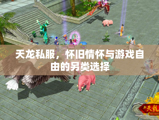 天龙私服，怀旧情怀与游戏自由的另类选择