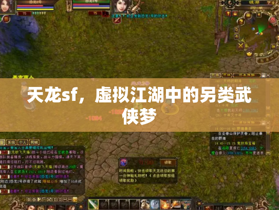 天龙sf，虚拟江湖中的另类武侠梦
