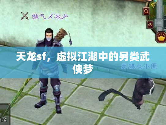 天龙sf，虚拟江湖中的另类武侠梦