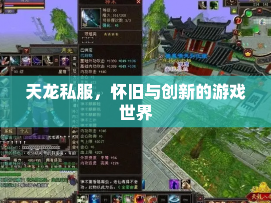 天龙私服，怀旧与创新的游戏世界