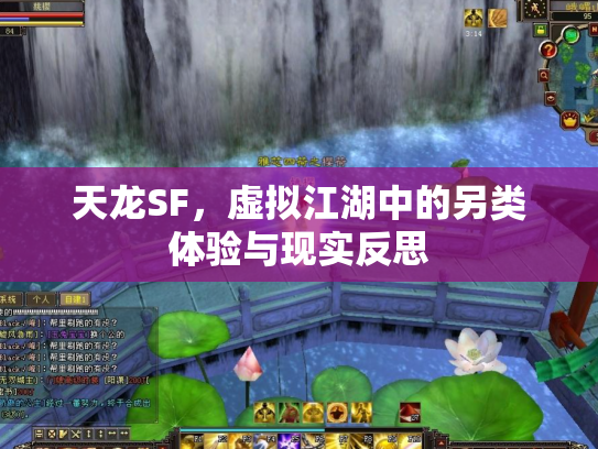天龙SF，虚拟江湖中的另类体验与现实反思