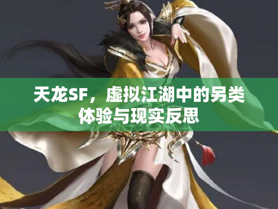 天龙SF，虚拟江湖中的另类体验与现实反思