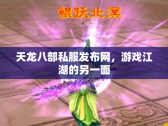 天龙八部私服发布网，游戏江湖的另一面