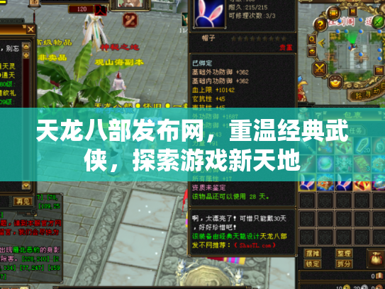 天龙八部发布网，重温经典武侠，探索游戏新天地