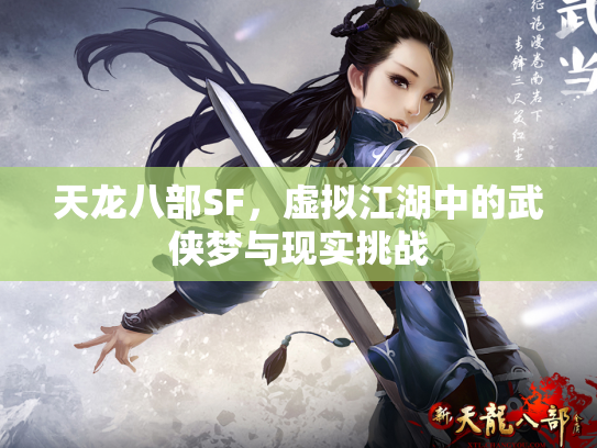 天龙八部SF，虚拟江湖中的武侠梦与现实挑战
