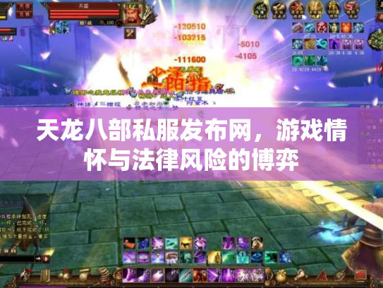 天龙八部私服发布网，游戏情怀与法律风险的博弈