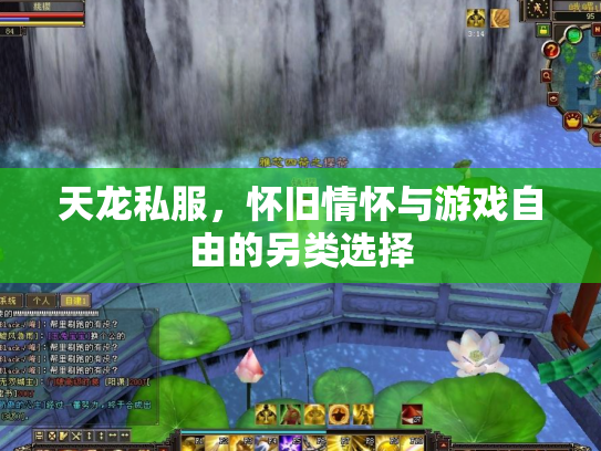 天龙私服，怀旧情怀与游戏自由的另类选择