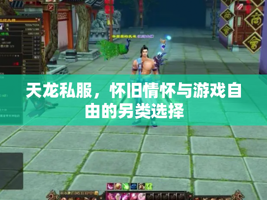 天龙私服，怀旧情怀与游戏自由的另类选择