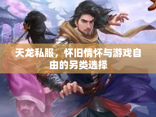 天龙私服，怀旧情怀与游戏自由的另类选择
