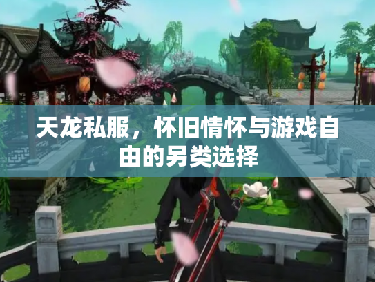 天龙私服，怀旧情怀与游戏自由的另类选择