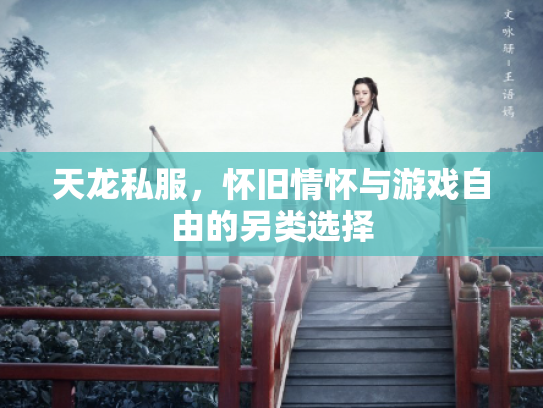 天龙私服，怀旧情怀与游戏自由的另类选择
