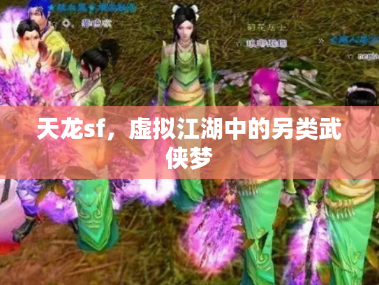 天龙sf，虚拟江湖中的另类武侠梦