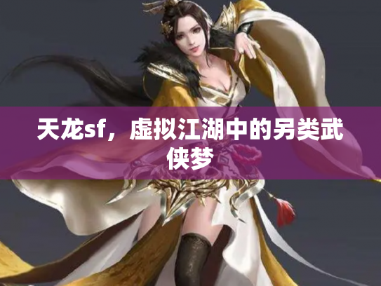 天龙sf，虚拟江湖中的另类武侠梦