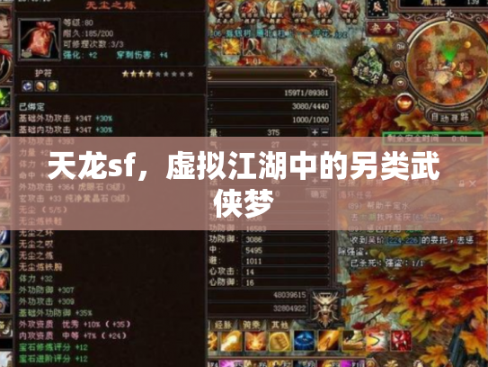 天龙sf，虚拟江湖中的另类武侠梦