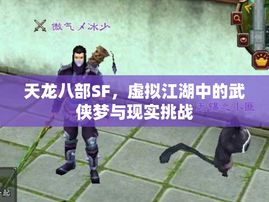 天龙八部SF，虚拟江湖中的武侠梦与现实挑战