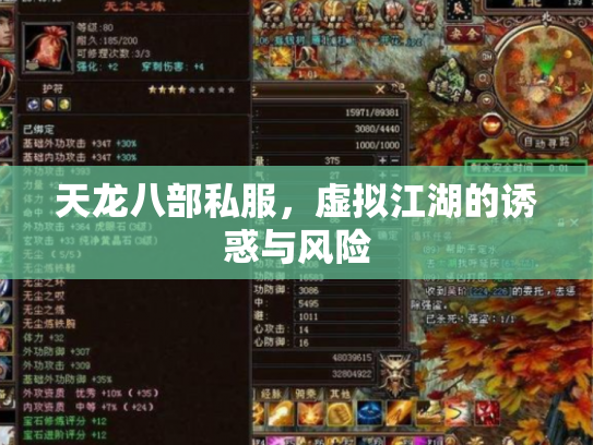 天龙八部私服，虚拟江湖的诱惑与风险