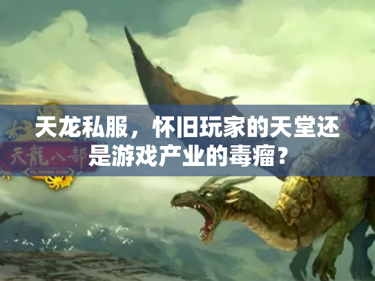 天龙私服，怀旧玩家的天堂还是游戏产业的毒瘤？