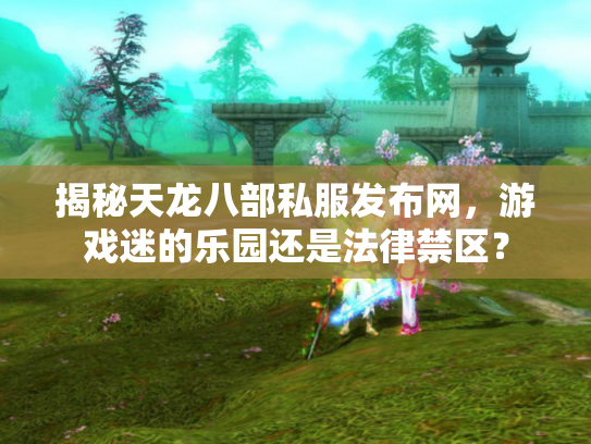 揭秘天龙八部私服发布网，游戏迷的乐园还是法律禁区？