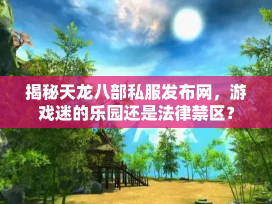 揭秘天龙八部私服发布网，游戏迷的乐园还是法律禁区？