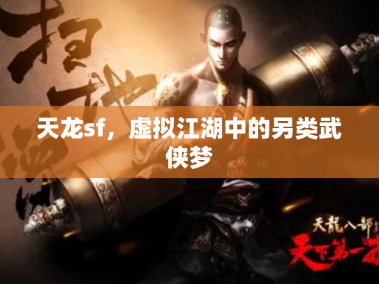 天龙sf，虚拟江湖中的另类武侠梦