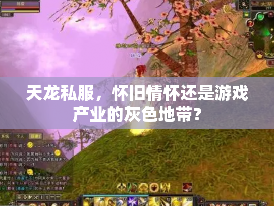 天龙私服，怀旧情怀还是游戏产业的灰色地带？