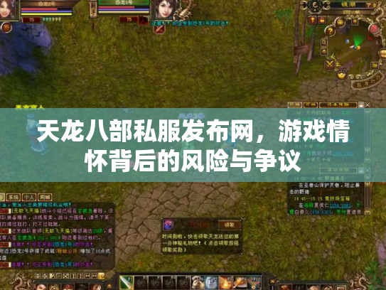 天龙八部私服发布网，游戏情怀背后的风险与争议