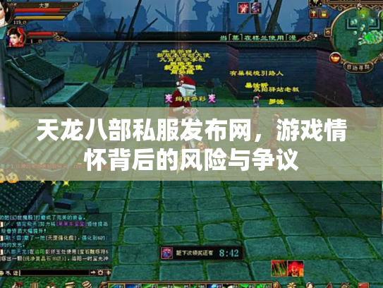 天龙八部私服发布网，游戏情怀背后的风险与争议