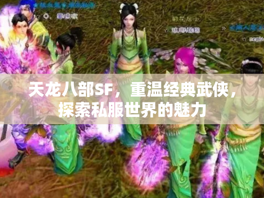 天龙八部SF，重温经典武侠，探索私服世界的魅力