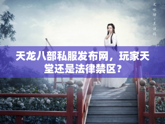 天龙八部私服发布网，玩家天堂还是法律禁区？
