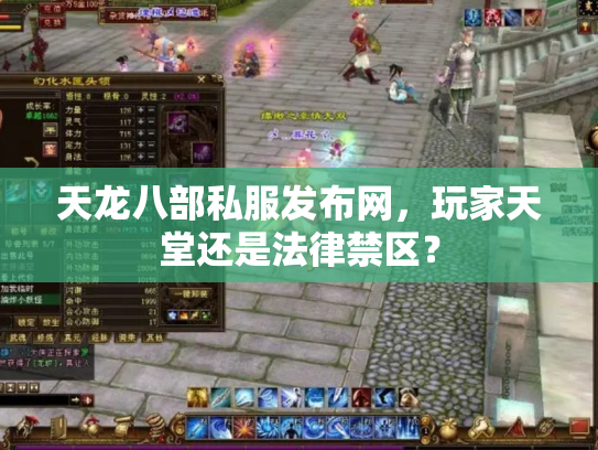 天龙八部私服发布网，玩家天堂还是法律禁区？
