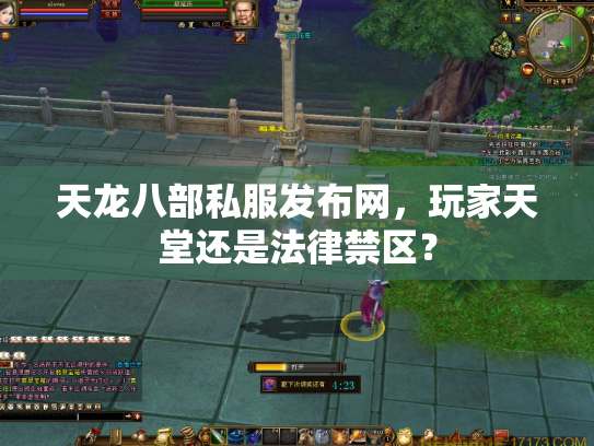 天龙八部私服发布网，玩家天堂还是法律禁区？