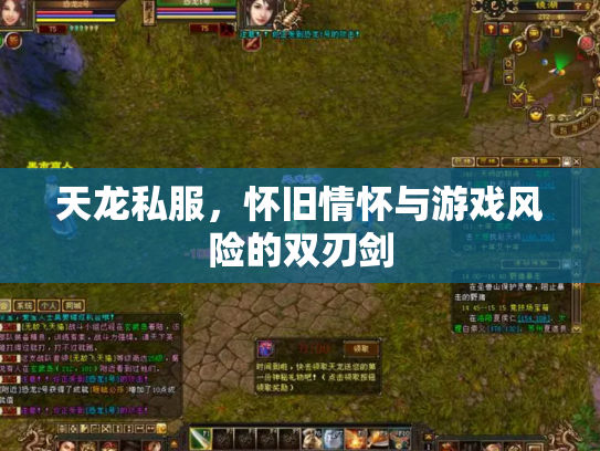 天龙私服，怀旧情怀与游戏风险的双刃剑