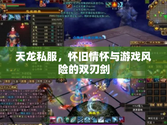 天龙私服，怀旧情怀与游戏风险的双刃剑