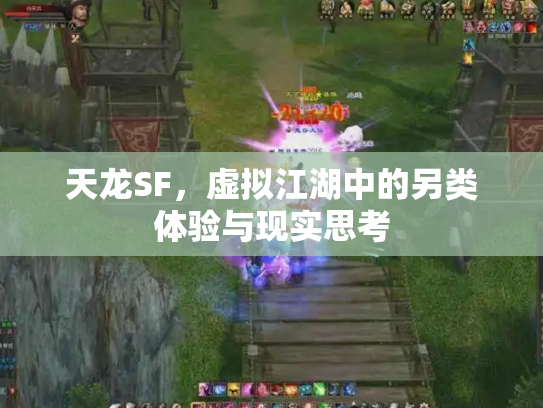 天龙SF，虚拟江湖中的另类体验与现实思考