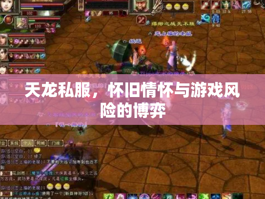 天龙私服，怀旧情怀与游戏风险的博弈
