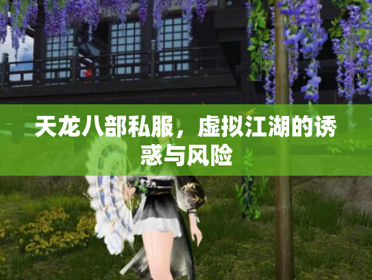 天龙八部私服，虚拟江湖的诱惑与风险