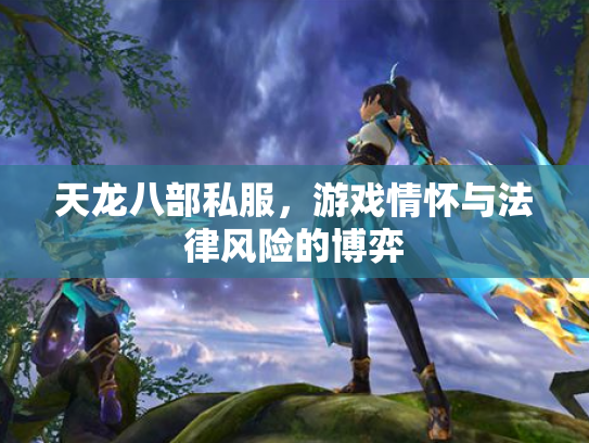 天龙八部私服，游戏情怀与法律风险的博弈