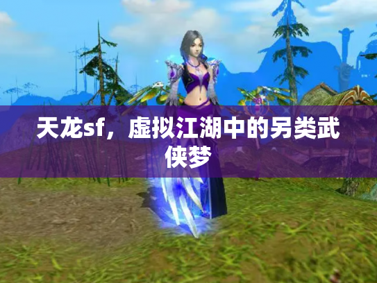 天龙sf，虚拟江湖中的另类武侠梦