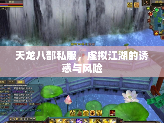 天龙八部私服，虚拟江湖的诱惑与风险