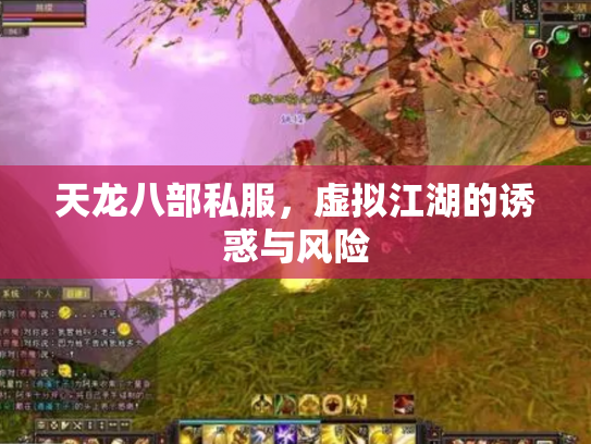 天龙八部私服，虚拟江湖的诱惑与风险